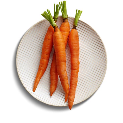 Carrot