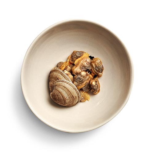 Clam