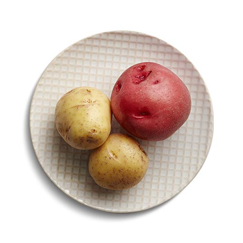 Potato