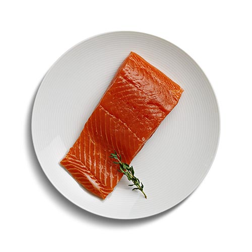 Salmon