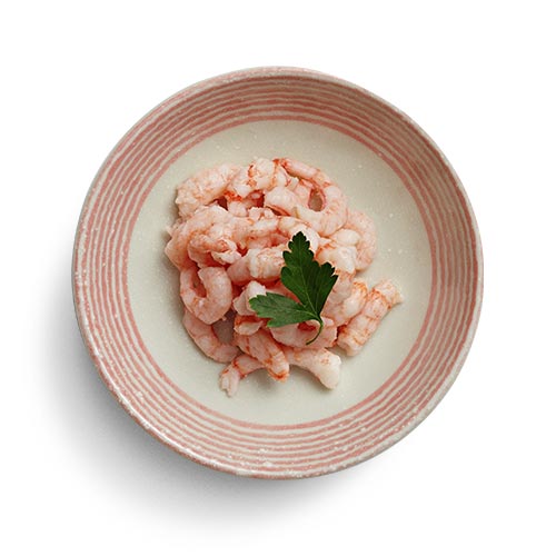 Shrimp