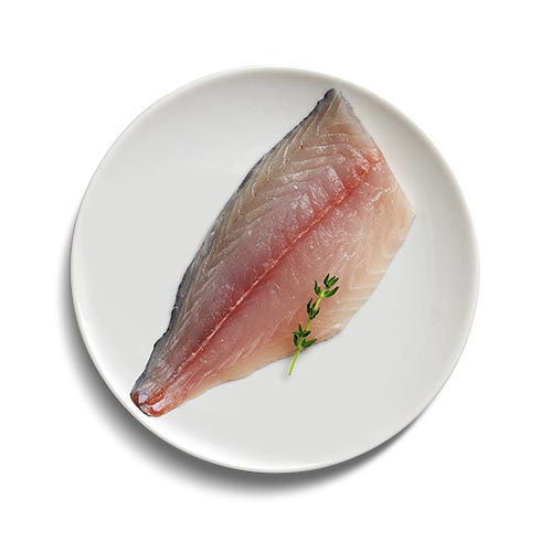 Threadfin Bream